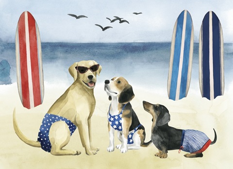 Hot Dog Collection A