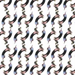 Hot Dog Collection F