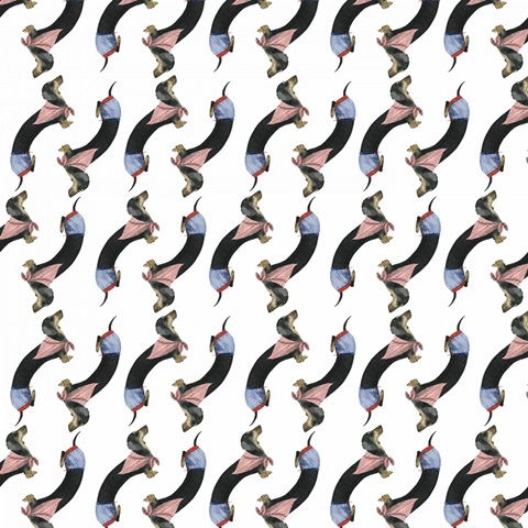 Hot Dog Collection F