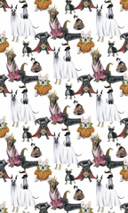 Howloween Collection E