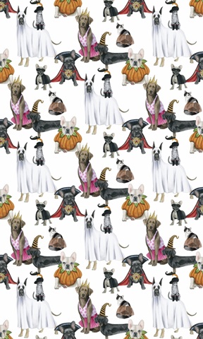 Howloween Collection E