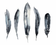 Indigo Feathers II