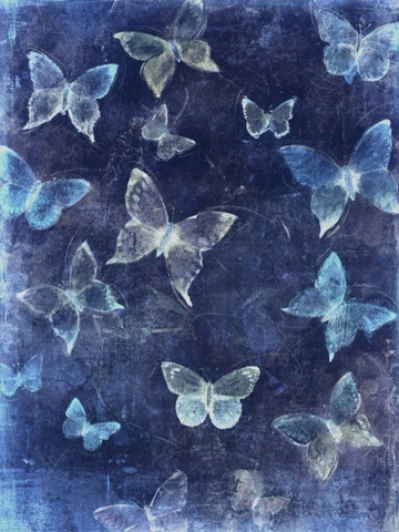 Indigo Flight II