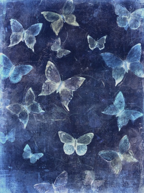 Indigo Flight II