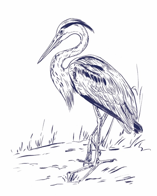 Indigo Heron I