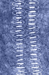 Indigo Primitive Patterns II