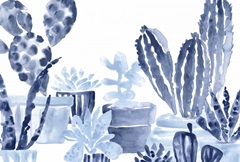 Indigo Succulent Collection A