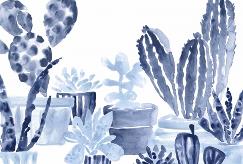 Indigo Succulent Collection A