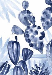 Indigo Succulent Collection B