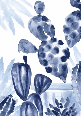 Indigo Succulent Collection B