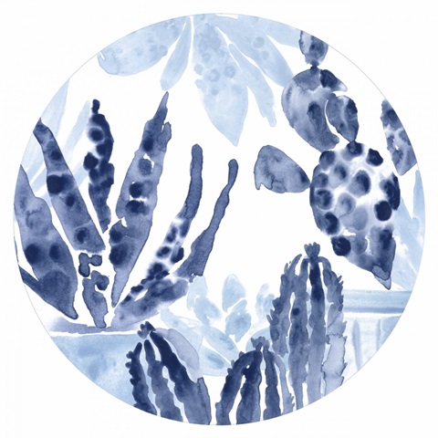 Indigo Succulent Collection C