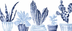 Indigo Succulent Collection D