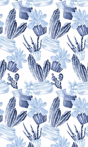 Indigo Succulent Collection E