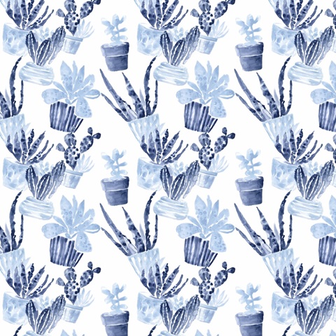 Indigo Succulent Collection H