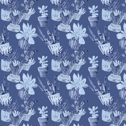 Indigo Succulent Collection I