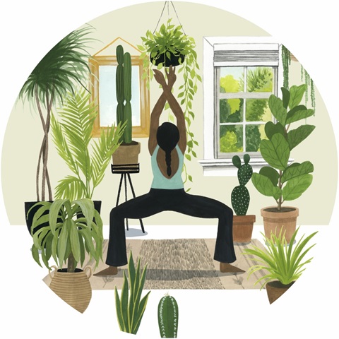 Indoor Asana Collection C