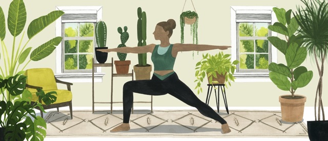 Indoor Asana Collection D