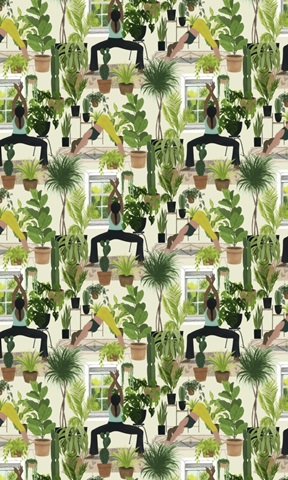 Indoor Asana Collection E