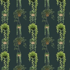 Indoor Asana Collection H