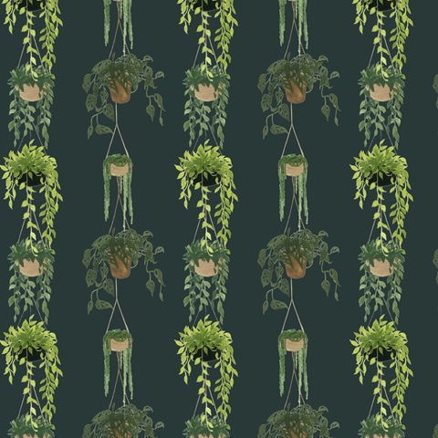 Indoor Asana Collection H