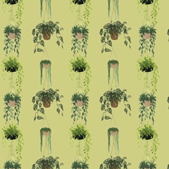 Indoor Asana Collection I