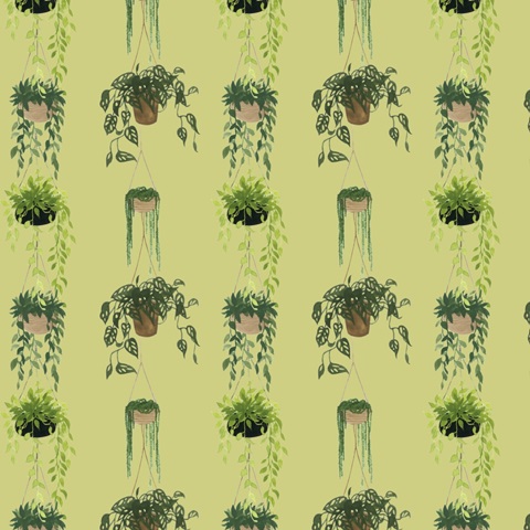 Indoor Asana Collection I