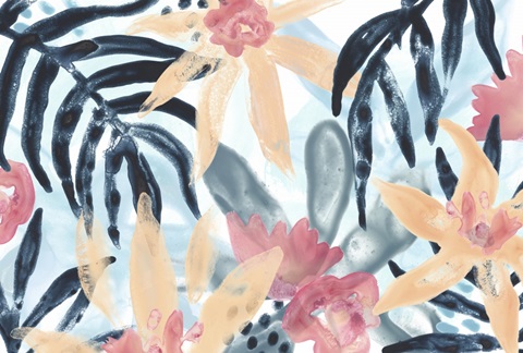 Island Intuition Collection A