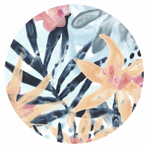 Island Intuition Collection C