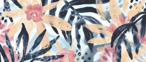 Island Intuition Collection D