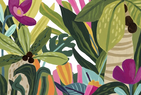 Island Thicket Collection A