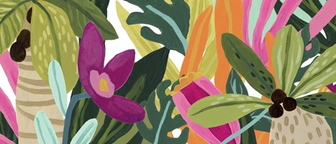 Island Thicket Collection D