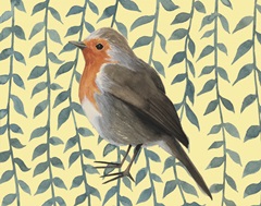 Little Bird Collection A