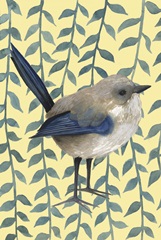 Little Bird Collection E