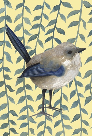 Little Bird Collection E