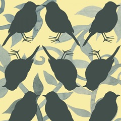 Little Bird Collection G