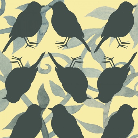 Little Bird Collection G