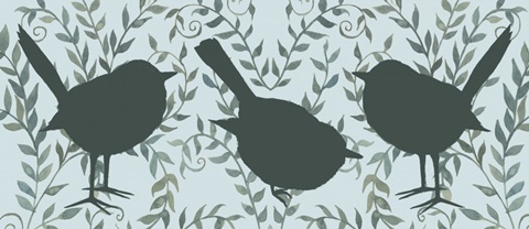 Little Bird Collection H