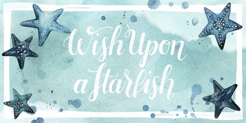 Mariner Collection D