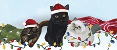 Meowy Hissmas Collection D