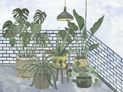 Mes Plantes Collection A