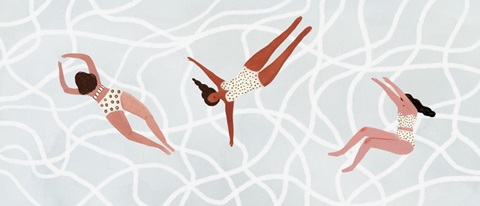 Minnows Collection D