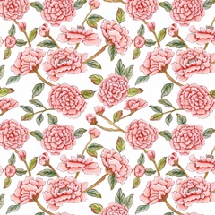 Minty Chinoiserie Collection F