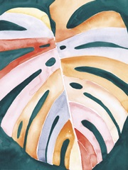 Multicolor Monstera I