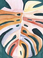 Multicolor Monstera II