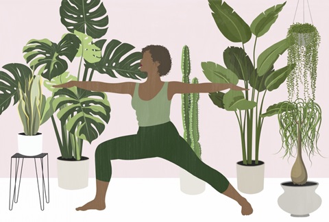 Namaste Home Collection A