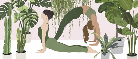 Namaste Home Collection D