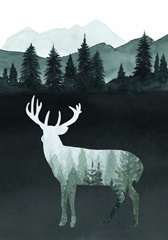 Nature Calling Collection B