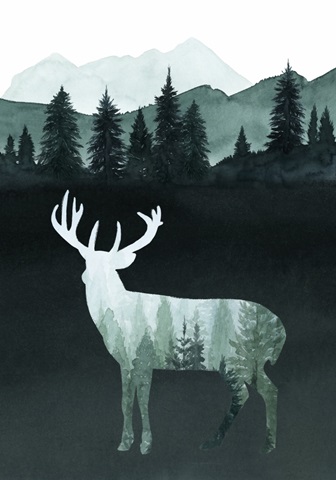 Nature Calling Collection B