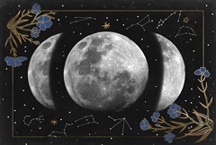 Night Moon Collection A