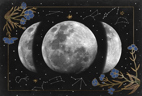 Night Moon Collection A